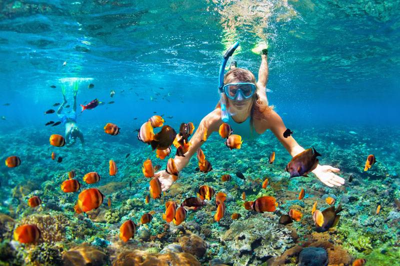 Snorkeling yang luar biasa di Bali - Neptune Scuba Diving